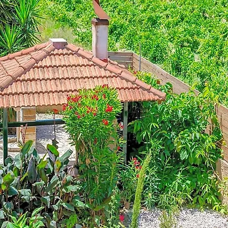 In Zakynthos With Private Pool Beaches Hotel